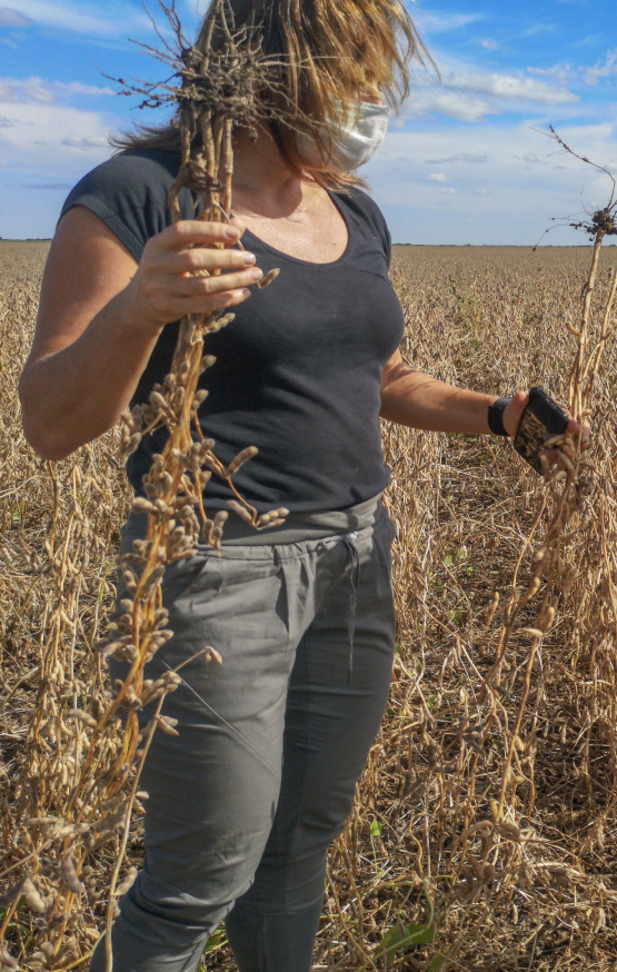 Somos un equipo multidisciplinario de científicos, biotecnólogos y agrónomos