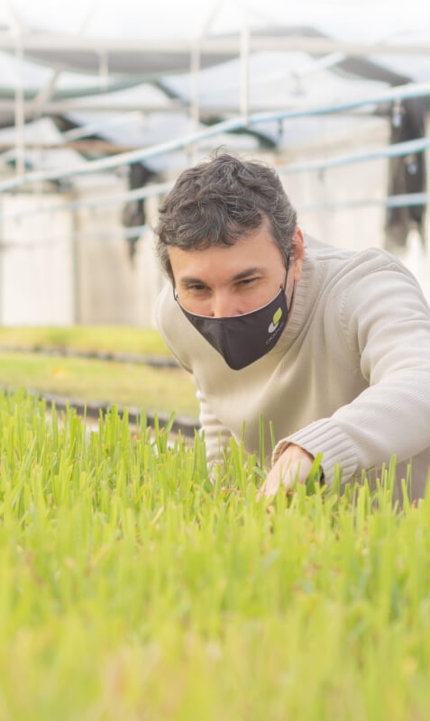 Bioinsumos del futuro, de fósiles vivientes.