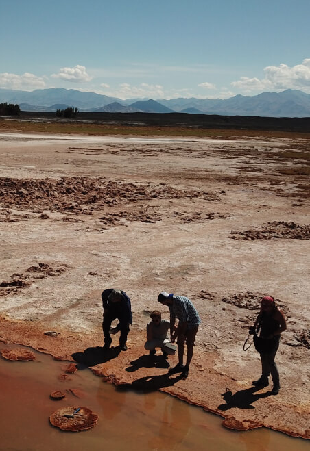 Bioinsumos del futuro, de fósiles vivientes.